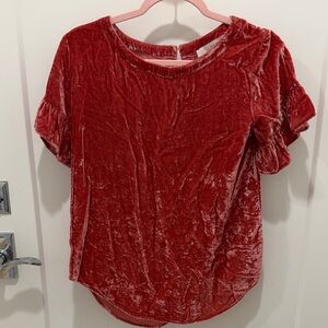 LOFT Crushed Velvet Short Sleeve Top in Deep Red
